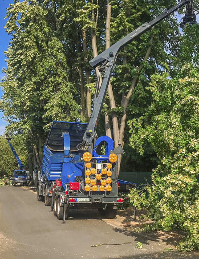 Fahrzeuge mit Auslegern für Baumpflegearbeiten