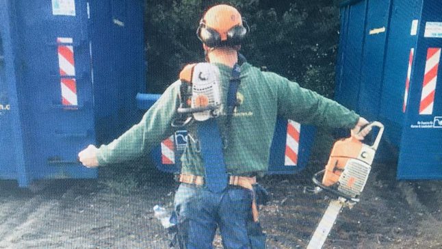 Mitarbeiter bei Baumf&auml;llarbeiten mit Motors&auml;ge