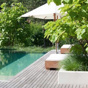 Pool im Garten