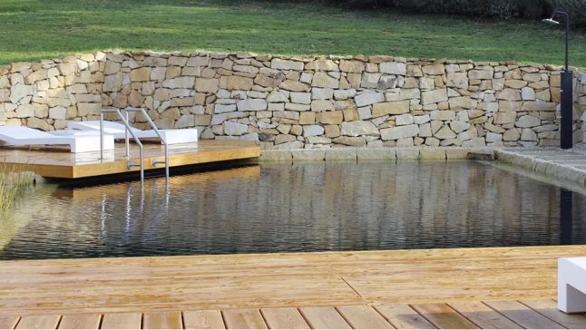 Stilvoll angelegter Pool im privaten Garten