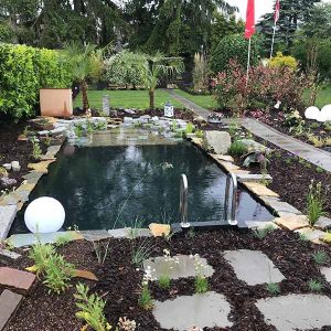 Fertiggestellter Gartenteich im Garten