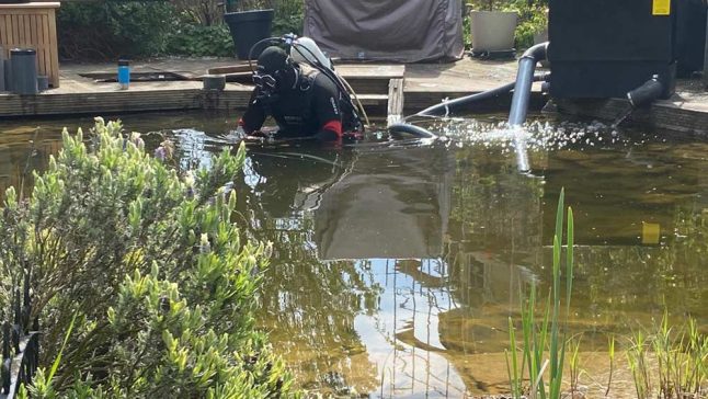 Taucher bei Wartungsarbeiten im Gartenteich